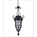 Savoy House Lighting - KP-5-310-BK - Monticello Hanging Lantern - Black Finish / Clea...