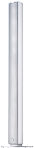 Canton CD 100 II 2,5-Wege Bass-Reflex Stand-Lautsprecher (70/120 Watt, 86,5 dB) Paar alu/silber