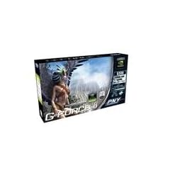 PNY nVidia GeForce 6200 Grafikkarte (AGP, 256MB GDDR2 Speicher, VGA / TV-Out, 1 GPU)
