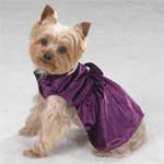 SMALL - Lap of Luxury Velvet Dress
