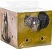 Crosman Varmint Target Block