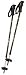 06 Atlas 2pc. Snowshoe Poles for Men