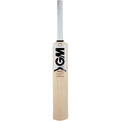 Gm Icon F2 Select Kashmir Willow Cricket Bat (SH)