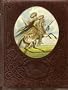 The Indians (The Old West)