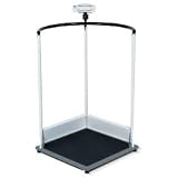 Multifunctional Handrail Scale