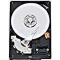 Western Digital - HDD 64486 MB