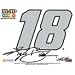 Kyle Busch 18 Ultra Decal
