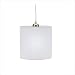Fat Plug-In Pendant with White Dupioni Silk Shade