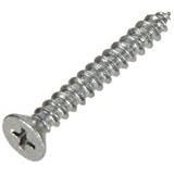 Hillman #823524 100PK 12x2 Phil Screw
