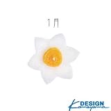 花づくし（水仙）