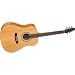 Seagull Slim Dreadnought (Natural)