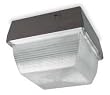 LumaPro 5MM40 Fixture, Ceiling, 50 W