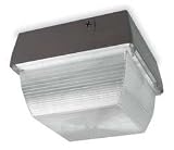 LumaPro 5MM41 Fixture, Ceiling, 175 W