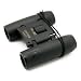 from Eeazy-Gizmo Eeazy-Gizmo 30X22 Travel Compact Vision Binoculars Bird Watching