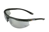 Dale Earnhardt #3 Titanium Sunglasses