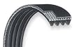 Dayton 3X707 Poly V Belt, Rma 410j6