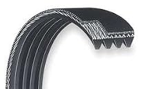 Dayton 3X542 Poly V Belt, Rma 490j6