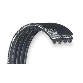 Dayton 3X655 Poly V Belt, Rma 460j6