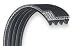 Dayton 3X707 Poly V Belt, Rma 410j6