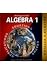 McDougal Littell Algebra 1, Teacher's Edition
