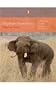 Elephas Maximumus: A Portrait of the Indian Elephant