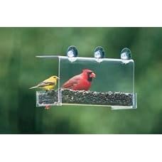 742CC Clear Bird House by DUNCRAFT INC