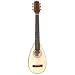 Amigo Travel Guitar