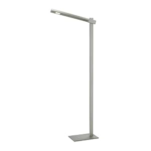 Adesso 3654-22 Reach Floor Lamp, Steel by Adesso