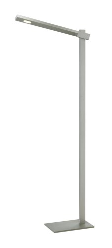 Adesso 3654-22 Reach Floor Lamp, Steel On Sale