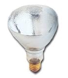 PAR 38 Reflector Flood Light, 150 Watt