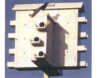 Alamo House With Crescent Doors