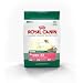 Pet Supplies : Royal Canin MINI Canine Health Nutrition Puppy 33- net wt. 3 lbs.