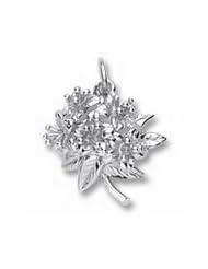 Rembrandt Charms Azalea Charm