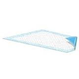 Blue Disposable Underpads , Large Size 23 x 36, Pack/50