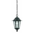 Westinghouse Lighting 67843 Outdoor Pendant Fixture