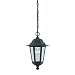 Westinghouse Lighting 67843 Outdoor Pendant Fixture