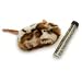 Pet Supplies : WORLDWISE 0936613 REFILLABLE CATNIP TOY (PACK OF 6)