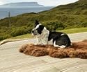 Sheepskin Petmat, small