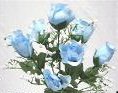 Dew Drop Rosebud Bush, Light Blue