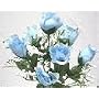 Dew Drop Rosebud Bush, Light Blue