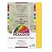 Search : Peacock Sulphite Construction Paper, Rigid, 9 x 12, Gold, 50 Sheets/pk