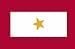 Fox Gold Star 3' x 5' Flag