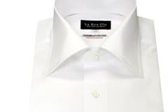 ozie ��100�� µ�դ����դ� Ω�Υѥ����� ���֥륫�ե� �磻�ɥ��顼 �ɥ쥹�����