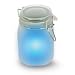 Moon Jar