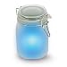 Outdoor Living : Moon Jar - Solar Powered Jar