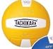 Volleyballs Tachikara Two-Color, Gold/White