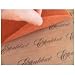 Excalibur ParaFlexx PremiumTM Non-Stick Drying Sheet PFP14