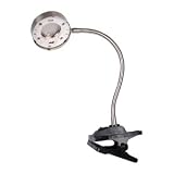 HQ Schreibtischlampe mit Clip, GX5,3, LF20