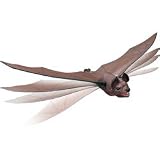 Uncle Milton Flying Bat