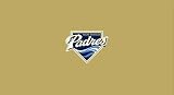 San Diego Padres Pool Table Billiard Cloth
